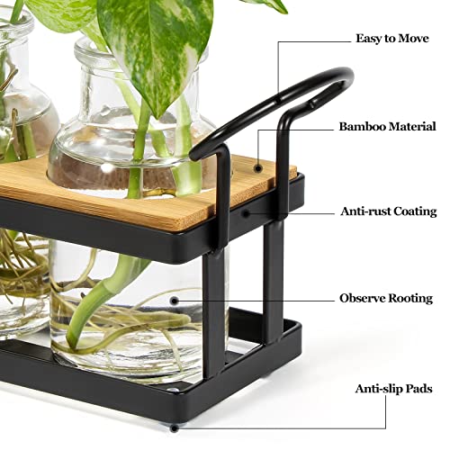 Plant Propagation Station with 5 Glass Jars, Retro Hydroponic Planter Vase - color: Black – 5 Tray