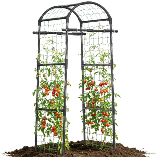 6.8FT Metal Garden Arch Trellis for Climbing Plants Outdoor (32×32×81in) - size: 32"L x 32"W x 81"H