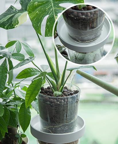 Phoenix Vine 8 Inch Plastic Plant Saucer Water Drip Tray, Heavy Sturdy Round Plant Drainage Tray for Indoors Outdoor, Matte White, 21-TY-8W-1 - size: 8"