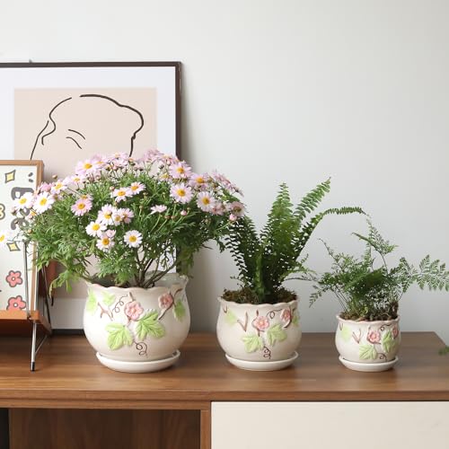 Ceramic Plant Pots with Drainage Holes and Saucers, Small Planters Set of 3 - color: White03