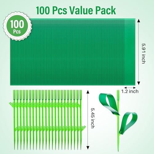 100 Pcs Gnat Sticky Traps for Plants, Sticky Traps for Gnats with 20 Stakes to Control, Aphids, Plant Bug, Mosquito Bits and Whiteflies(Green) - color: Green