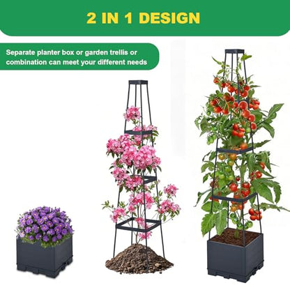 2 Pack Raised Garden Bed, Tomato Cages for Garden, Garden Bed, Tomato Cage, Planter Box with Trellis, 57" Self-Watering Tomato Planter for Climbing Plants Vegetables Flowers Outdoor Indoor - size: 57 inch 2 Pack