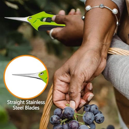 1PC Pruning Shears, Titanium Coated Garden Trimming Scissors with Coil Spring, Precision Gardening Hand Pruning Snips for Bonsai, Flowers, Plants Cutting (green,straight blade) - color: Green