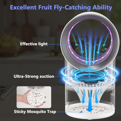 Fruit Fly Traps for Indoors, White Gnat Trap Indoor with Suction & Timer - color: White