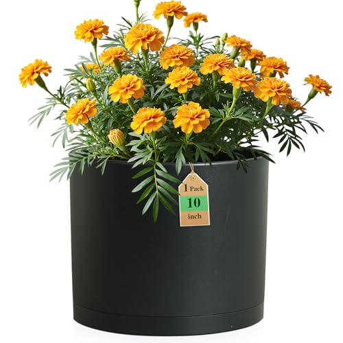 10 Inch Round Plastic Plant Pot with Drainage Holes and Saucer, Wide Flower Pots for Indoor & Outdoor Plants– 7.9" Tall Modern Cylinder Planter Pot for House Plants and Home Decorative, Matte Black - color: Black, size: 10 Inch B