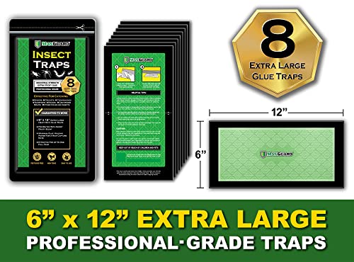 MaxGuard Extra Large Insect Traps (8 Traps) | Non-Toxic Extra Sticky Pre-Baited Glue Board, Trap & Kill Most Crawling Insects, Bugs, Spiders, Crickets, Scorpions, Cockroaches, Centipedes, Snakes.