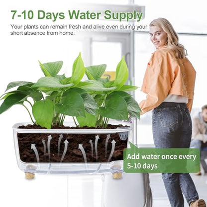 Oliz Self-Watering Planter with Coco Coir, Clear Modern Rectangular Pot