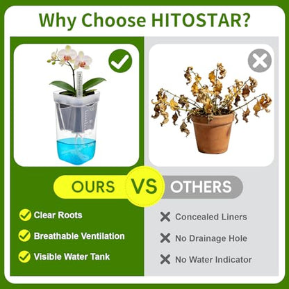 HITOSTAR 6 Pack 2 Inch Mini Clear Self Watering Pots for Indoor Plants, Small Plastic Planters with Drainage, Hydroponic Nursery Propagation Cups, for African Violet Alocasia Pot (2 Inch, 6 Pack) - size: 2 Inch
