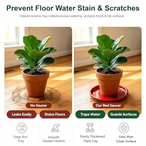11.4 Inch Ceramic Plant Saucer, Rainforest Red - color: Rainforest Red
