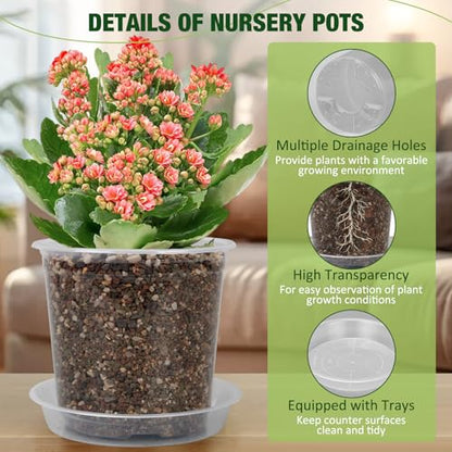 8 Inch Clear Nursery Pots with Drainage Holes and Saucers, 6 Pack Clear Pots for Plants Variety Pack, Seedling Pots for Succulents, Herbs, Flowers, Vegetables - size: 8 inch