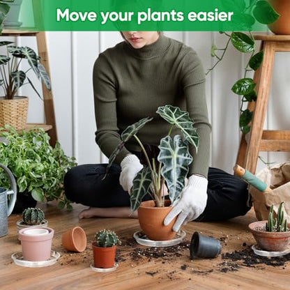 25 Pack Plant Saucer Tray, 6/8 / 10/12 /14 inch Heavy Duty Flower Pot Trays, Plastic Plant Saucer for Indoor & Outdoor Plants, Plant Trays to Catch Water, 5 Pieces of Each Size - size: 6/8/10/12/14 inch