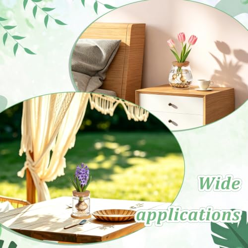 6PCS Plants Propagation Stations Glass Propagation Vases Jar, Planter Terrariums with Wooden Lid and Bamboo Stand Desktop, Hydroponic Vase for Plant Growing Home Office Tabletop Decor