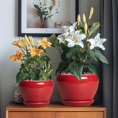 Ceramic Plant Pots, 10+8+6 Inch Ceramic Planters, Bright Red - color: Bright Red