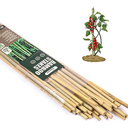 Cambaverd Bamboo Sticks for Plants 2 Feet Bamboo Stakes for Indoor Gardening Plant Stakes Supports Potted Plants Mini Trees Garden Stakes - Pack of 30 Bamboo Poles - size: 2FT-30PACK