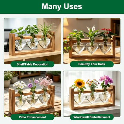 Plant Terrarium Propagation Station Air Planter Bulb Glass Vase with Wooden Stand 3 Heart Shaped Glass Vases