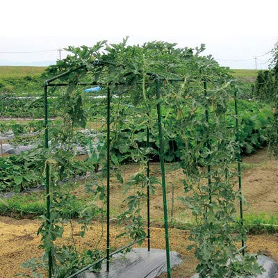 Green Garden Trellis Netting 5x100 ft Heavy Duty Polypropylene Plant Support Net for Climbing Vegetables Fruits Flowers - size: 5x100 ft