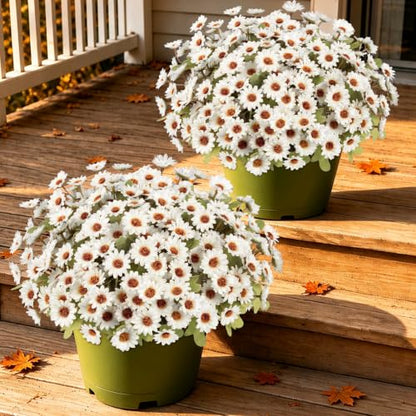12 PCS Artificial Mums for Outdoors, UV Resistant Fake Fall Flowers - color: White