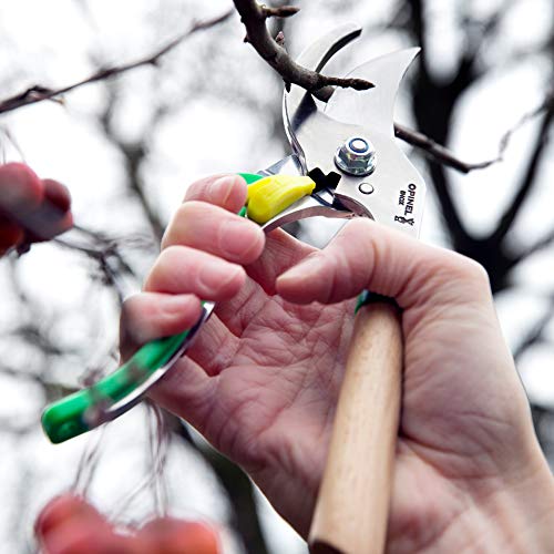 Opinel Hand Pruning Shears with non-slip beech wood handle perfect for bypass trimmers, garden, hedge, lawn clippers or hand scissors with stainless steel blade (Blue) - color: Blue