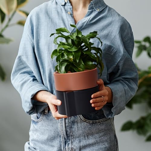 6.5 Inch Self-Watering Planter Pot with Terracotta Insert, Deep Water Reservoir, and Ceramic-Alike BPA-Free Plastic Pot for Plant, Modern Planter for Houseplants, Black/Terracotta, 53-B-S-5 - color: Black/Terracotta, size: 6.5 Inch
