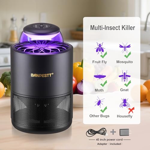 Indoor Fly Trap, Fruit Fly & Gnat Trap,UV Light Fan Suction, 6 Glue Boards - color: Black