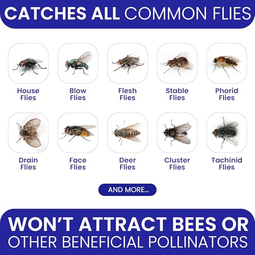Fly Traps Outdoor Fly Trap for Patio. 4 Large Non-Toxic Pre-Baited Flies Bags Outdoor Disposable. Big Hanging Bug Catchers for All Filth Flies Killer for Outside Bug Control in Yard Horse Ranch. - size: 4pk