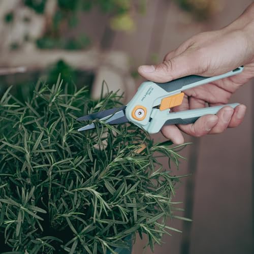 PrunePro Garden Scissors Pruning Shears Sharp Stainless Steel Non-Stick Teflon Coating Blade for Precise Cuts Garden Snip Bonsai Clippers for Plants Rose Flower 2 Pack - color: Green