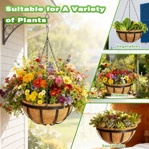 2 Pack 12 Inch Metal Outdoor Hanging Baskets Black Heavy Duty Hanging Planters with Coco Liners for Indoor Outdoor Plants Gardens Patios Terraces（Flat Iron） - color: Flat Iron