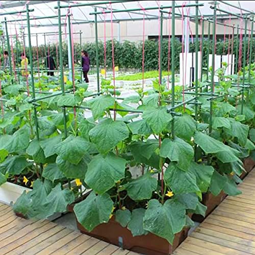 4Feet 48inch Garden Stakes Sturdy Plant Sticks Support Tomato Stakes for Vegetable,Pack of 20 - size: 4Ft-20 Pcs