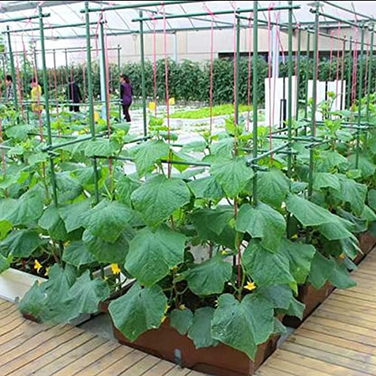 4Feet 48inch Garden Stakes Sturdy Plant Sticks Support Tomato Stakes for Vegetable,Pack of 20 - size: 4Ft-20 Pcs
