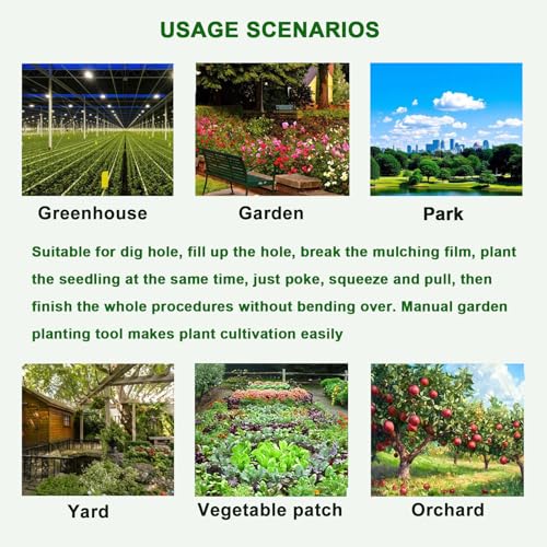 Seedling Transplanting Bulb Planter Tool Long Handle, Vegetable Young Plant Manual Plant Transplanter, Single Handle Stainless Steel Planting Garden Tools for Garden, Greenhouse