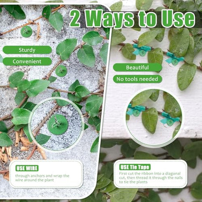 Willbond 80 Pcs Plant Anchors Kit for Vine Wall Stucco Trellis, Green - color: Green