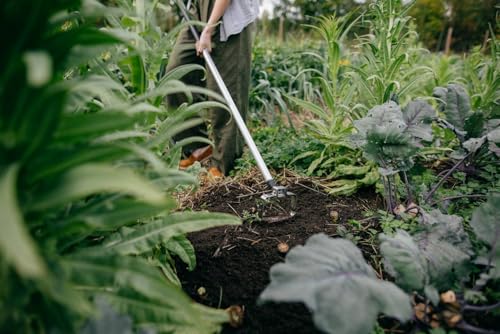 Fiskars Xact Push-Pull Weeder 135 mm, Length: 167.5 cm, Width: 13.5 cm, Black/Orange, Stainless Steel/Plastic, 1027042 - style: weeder