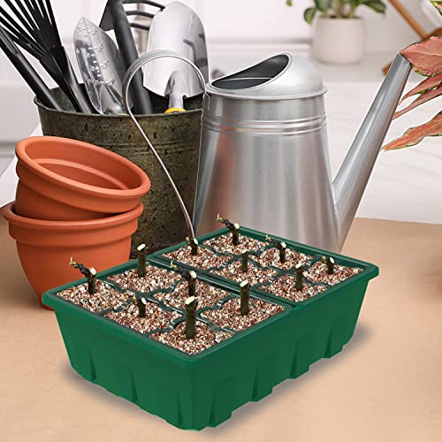 Gardzen 10 Pack Seed Starter Trays with Dome and Green Base 120 Cell - size: 12-Cell Clear 10-Pack