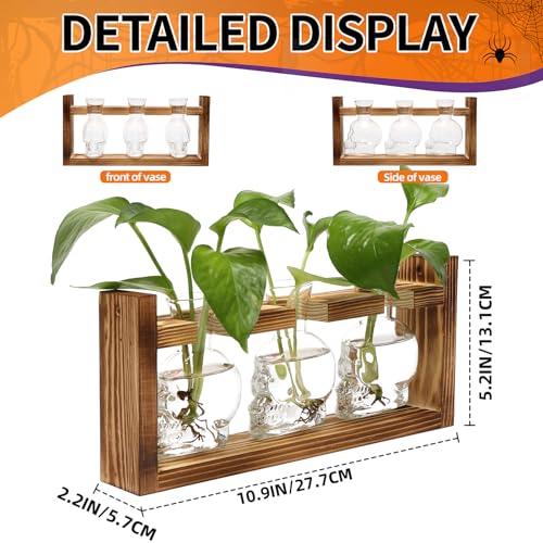 Plant Terrarium Propagation Stations Skull Planter Vase Skulls Decor - color: Transparent