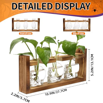 Plant Terrarium Propagation Stations Skull Planter Vase Skulls Decor - color: Transparent
