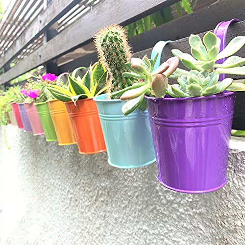 LaLaGreen Colorful Rail Planter (4 in, 10 Pack) Metal Fence Railing Pot - size: 4 Inch (Multi-A)