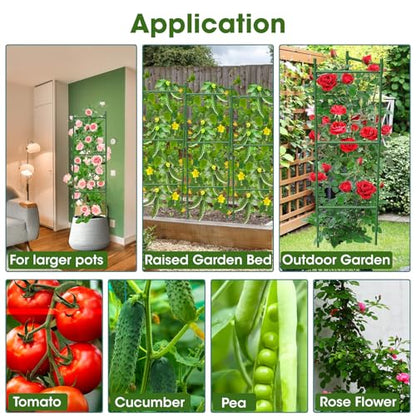 3 Pack Tomato Cage,Tomato Cage for Raised Garden Bed, 48'' Tall Tomato Trellis Triangle or Square Cages for Garden,Pots, Plant Cages & Supports（Green, Extra Bold ） - style: 3 pack
