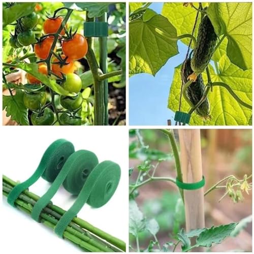 3Rolls Nylon Plant Ties Reusable Self Adhesive Plant Fastener Tape for Support Garden Supplies,200Ccm (Green) - color: Green