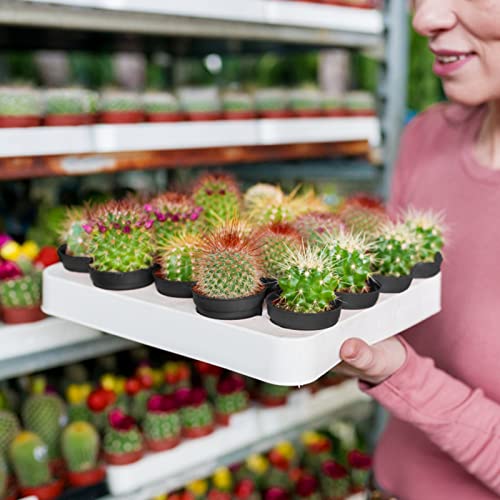 KINGLAKE GARDEN Small Black Plastic Pots,50 Packs 2 Inch Small Plant Pots - color: Black