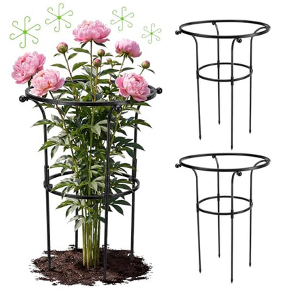 2 Pack Large Peony Cages and Supports, 26" H x 20" D Grow Through Plant Support Rings, Plastic Rings with Stainless Steel Stakes for Peonies, Roses Tomato Hydrangea Strawberry
