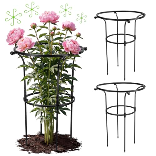 2 Pack Large Peony Cages and Supports, 26" H x 20" D Grow Through Plant Support Rings, Plastic Rings with Stainless Steel Stakes for Peonies, Roses Tomato Hydrangea Strawberry