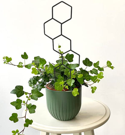 Wellsign 15.94Inch Plant Trellis for Climbing Plants Indoor Outdoor - size: Black-Metal-Trellis02