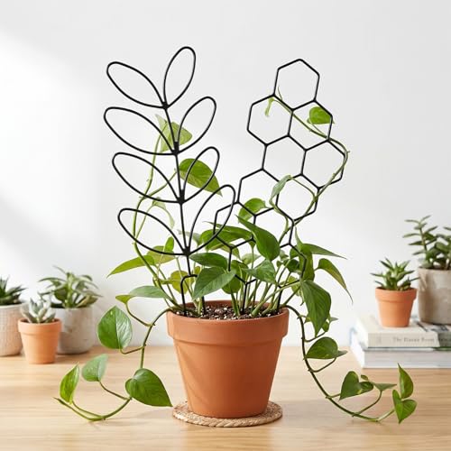 Gjinxi 2 Pcs Indoor Plant Trellis Houseplant Trelli,12 inch Plastic Trellis