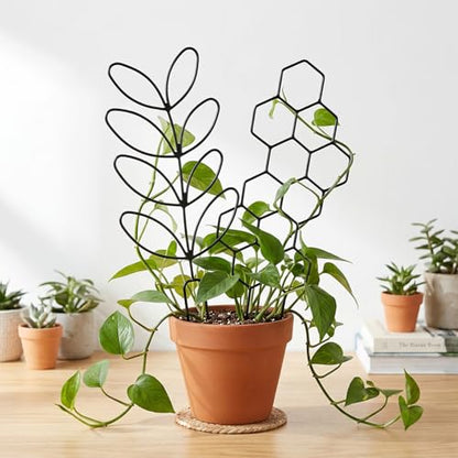 Gjinxi 2 Pcs Indoor Plant Trellis Houseplant Trelli,12 inch Plastic Trellis