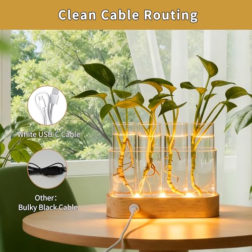 Plant Propagation Station with LED Grow Lights, 4 Glass Tubes & Oak Stand