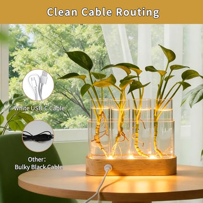 Plant Propagation Station with LED Grow Lights, 4 Glass Tubes & Oak Stand