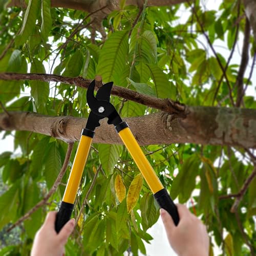41-Piece Premium Gardening Tool Set, Stainless Steel Heavy Duty Gardening Tool Kit, with Non-Slip Rubber Grip, Storage Tote Bag, Outdoor Hand Tools, Ideal Gardening Gifts for All (Green) - color: Green