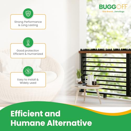 BUGGOFF - Bird & Rodent Spikes, Unique Spike Pattern effecitviely deteres Pesky Pigeons, Squirrels, Raccoons. Installs on Fences, Gates, Roofs, Walls and More! (13 Feet, Black Plastic) - color: Black Plastic