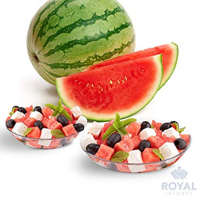 Royal Imports 10" Clear Plastic Saucer Plant Drip Tray 6 Pack - size: 11"
