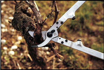 FELCO F20 Swiss Made Loppers for Gardening – 16.9" Heavy Duty Loppers Tree Trimming | Tree Branch Cutters | Tree Trimmer Tool with Replaceable Carbon Steel Blade, Forged Handles Made for Life - size: 16.9 in